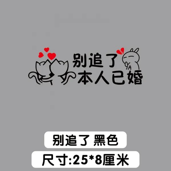 에스앤피 나이 먹은 것이다 여성 추돌 시집가다 차량용 장가들다 자동차 젊은남자 소녀 독신자 정국, 하지 마라 쫓아 （블랙 ）