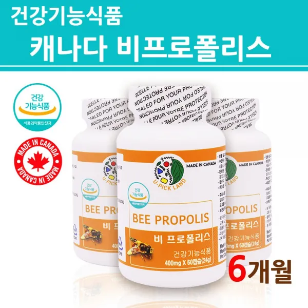 식약처인증 프로폴리스 캡슐 구강프로폴리스 고함량 플라보노이드 추출물 17mg 알약타입 항산화 피로회복 영양제 미세먼지 황사 목건강 효능 대용량 프리미엄 골드 캐나다 직수입 해외 직구 1개 6개월분