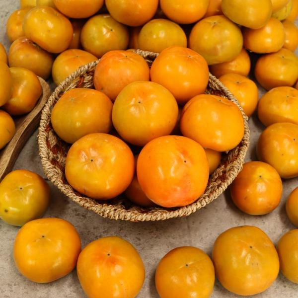 [감별] 밀양 아삭한 단감 5kg 산지직송 아닐시 무조건 환불, 부유 실속 27-28과