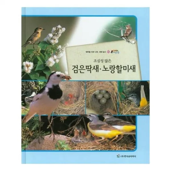 유니오니아시아 검은딱새 노랑할미새 조심성 많은 올빼미 자연관찰 62 양장본 HardCover
