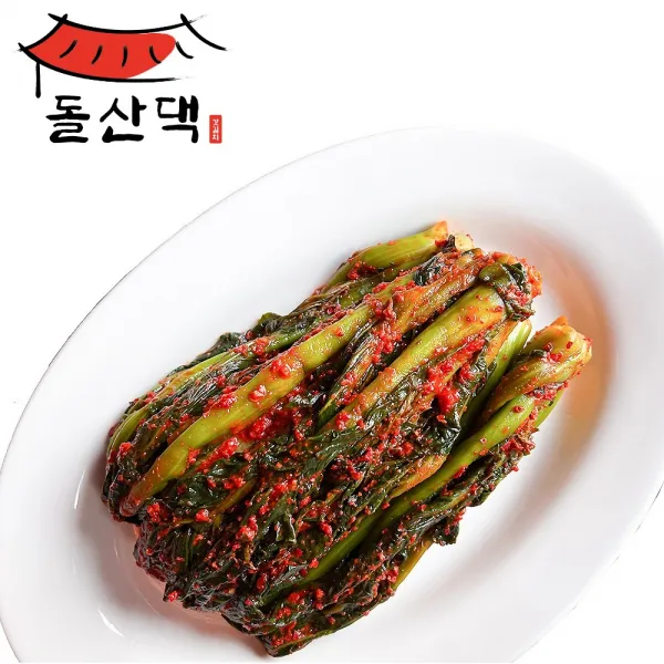 돌산댁 여수 국내산 돌산 갓김치 2kg 3kg 5kg 당일배송 다음날도착, 배추김치3kg