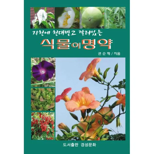 식물이 명약 : 지천에 천대받고 깔려있는, 경성문화