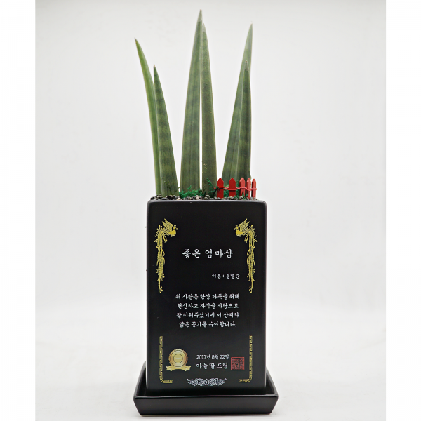 [메세지 상패화분] '명예'를 선물하세요. Ver.2 - 고급형직사각(화이트/블랙), 블랙, 스투키