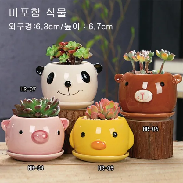 Siteng캐릭터 돼지부엉이다육이 화분 세트D0609활동하다증정미니원예 공구 3종 세트, 사진 색상1+미니원예 공구 3종 세트