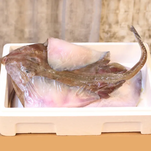 속초시수협 동해안산 가오리 1마리 대 상세페이지 참조