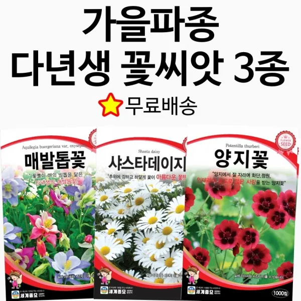 가을파종 다년생꽃씨 3종세트 가을꽃씨 야생화 양지꽃 매발톱 샤스타데이지 꽃 종자 노지월동