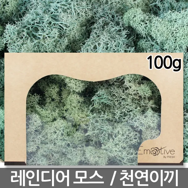 레인디어모스 블루 100g - 천연이끼 이끼 모스 이끼식물 생이끼 파란이끼 파란색이끼 고급이끼, 02_레인디어모스_아쿠아블루(100g)