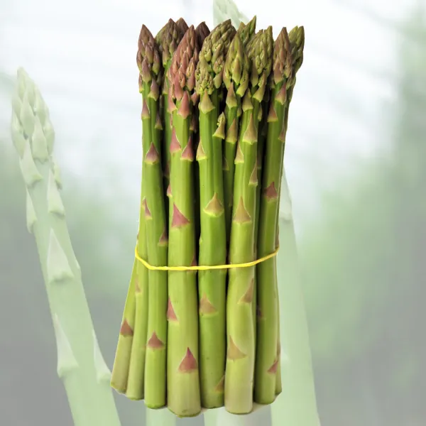강원도 원주 치악산 생 아스파라거스 농장직송, 1단, 1kg