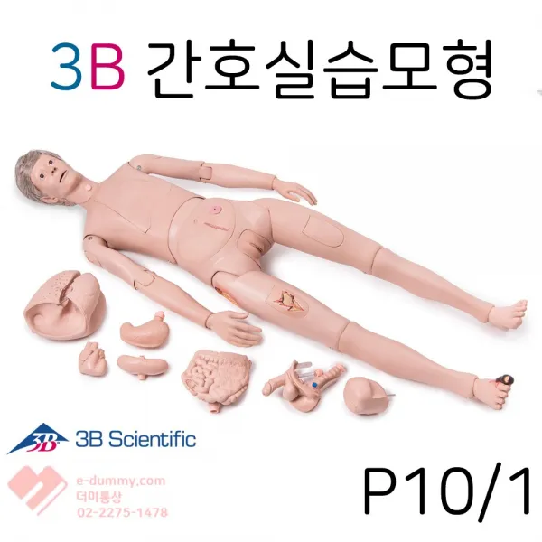 3B scientific 간호실습모형 P10-1, 1개
