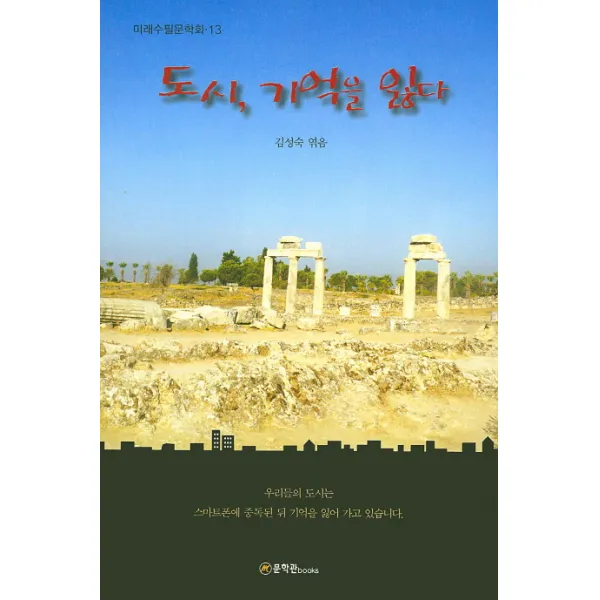도시 기억을 잃다, 문학관