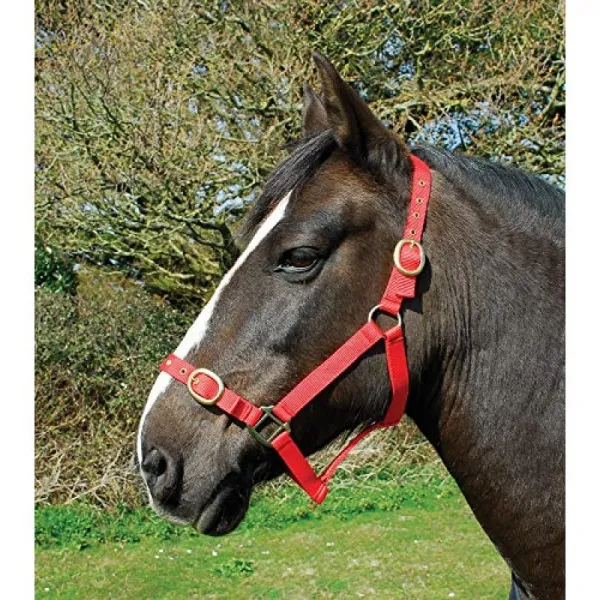 Rhinegold Nylon Headcollar-X Full-Red Halter Red 냉혈 / 온혈 특대, 단일옵션