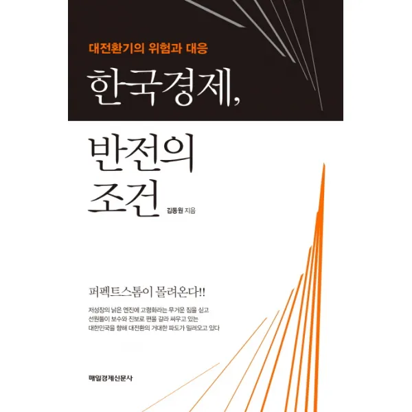 한국경제 반전의 조건:대전환기의 위험과 대응 매경출판