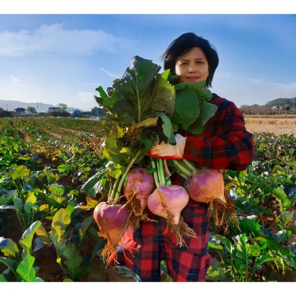 강화도 연미농장(최상품) 순무청 별도서비스, 10kg