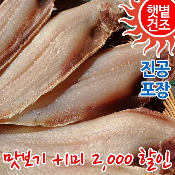 짠돌이쇼핑 반건조 박대 서대 30~38cm 크기선택 자연건조, 1set, 박대 중 (9마리)
