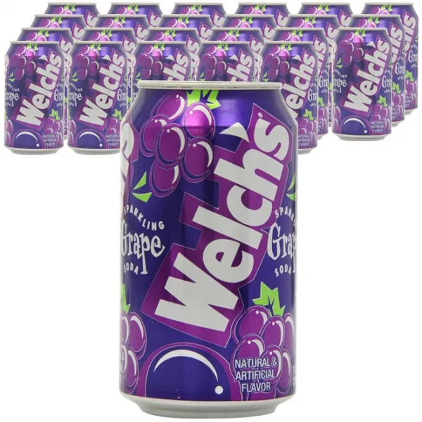 웰치스 웰치 그레이프맛 F3, 355ml, 24개