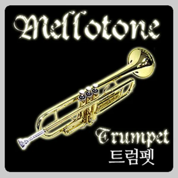 뉴페이스 멜로톤 금관악기 트럼펫 HM600