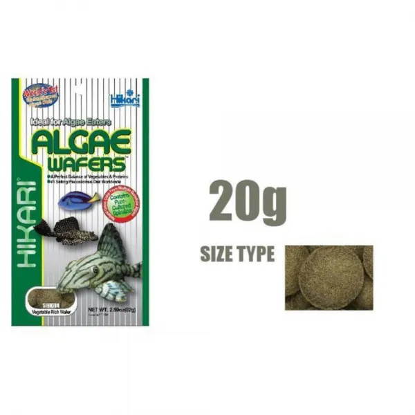 베스트 셀링 플래코 이끼 초식성 사료 20g 물고기밥, 1개
