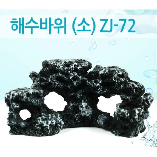 작은 관상어 통과 구멍 바위 놀이터 초록복어 마리모