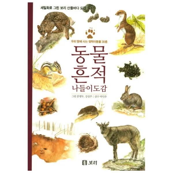 동물 흔적 나들이도감 : 우리 땅에 사는 젖먹이동물 30종, 보리