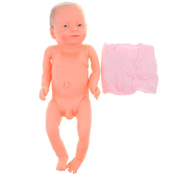 STK해부학 적으로 올바른 20 