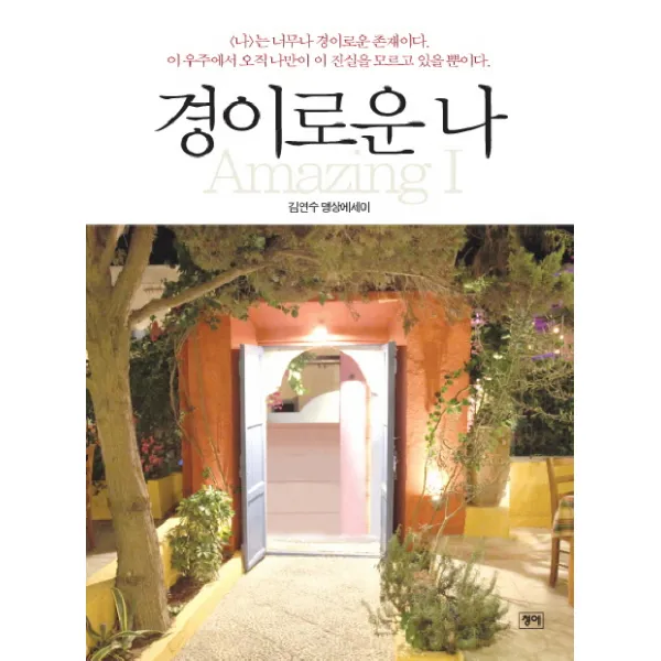 경이로운 나:김연수 명상에세이, 청어