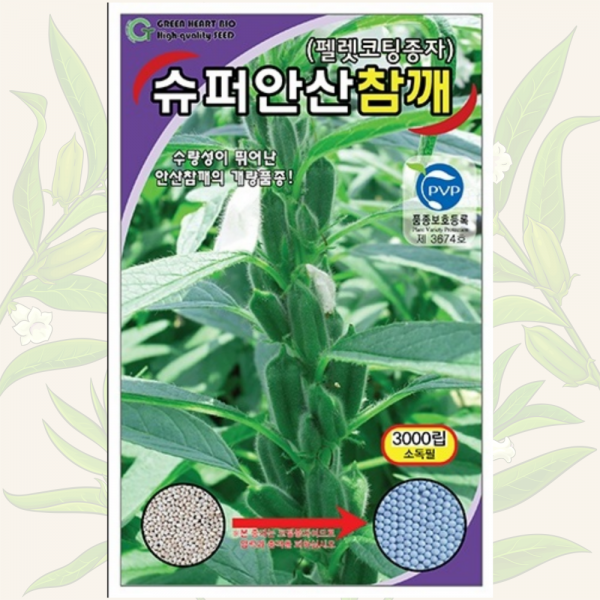 슈퍼안산참깨 씨앗 3000립 가지깨 다수확 펠렛종자 씨앗이야기