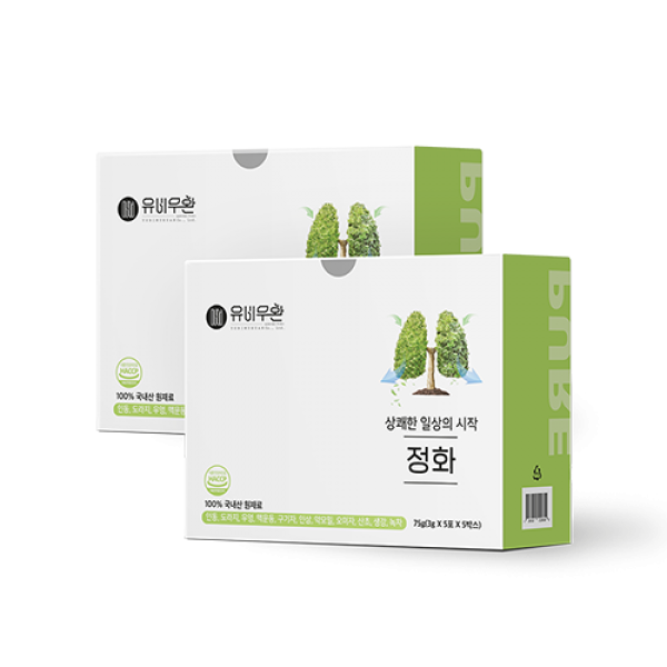국내산 목 건강 기관지 코 마른기침 인삼 도라지 음식 유비무환 정화, 정화 2박스(3g x 50포)