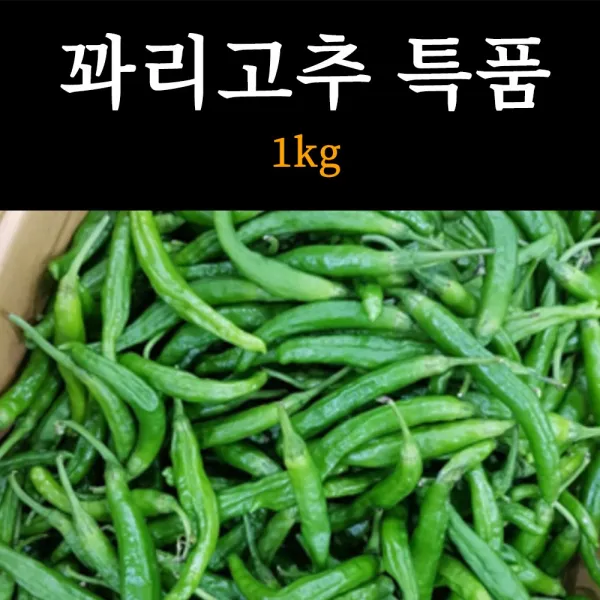국내산 햇 꽈리고추 고추 못난이 가정용 특품 1kg, 1box, 꽈리고추 특품 - 1kg