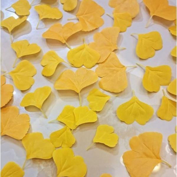 [유니크]은행잎 조화 단풍 낙엽 조화 인테리어 조화 어린이집 낙엽놀이 조화 100장