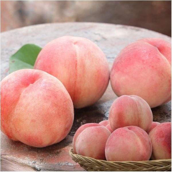 털복숭아 4.5kg (22과내/실중량)