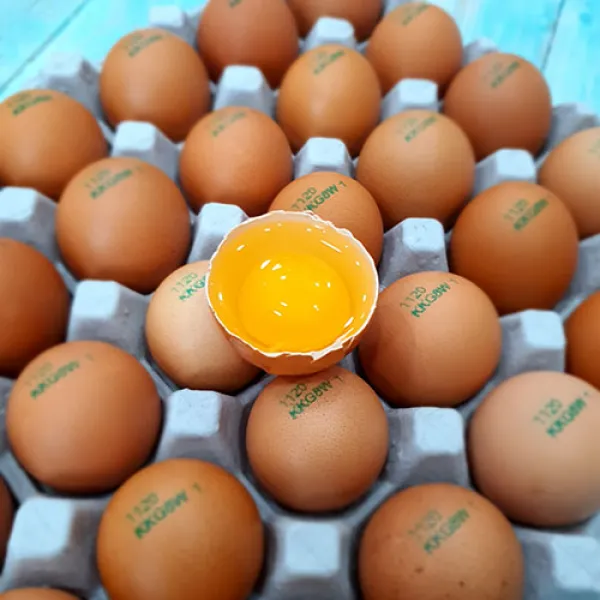 [거성농원]난각번호1번 친환경 달걀 자연방사 건강한유정란 (HACCP/무항생제/동물복지) 20구~, 20구
