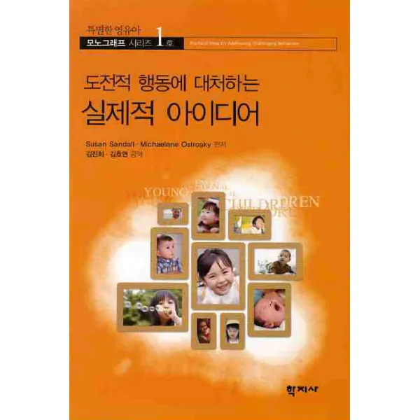 도전적 행동에 대처하는 실제적 아이디어, 학지사