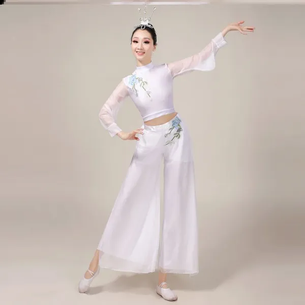 소울스타 차이나 클래식 연공복 현대 무용 샤랄라 광한궁 핀꽃 망종 공연복