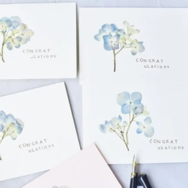  텐바이텐 생화 핸드메이드 압화 카드 예단편지 알리움 축하 옵션선택