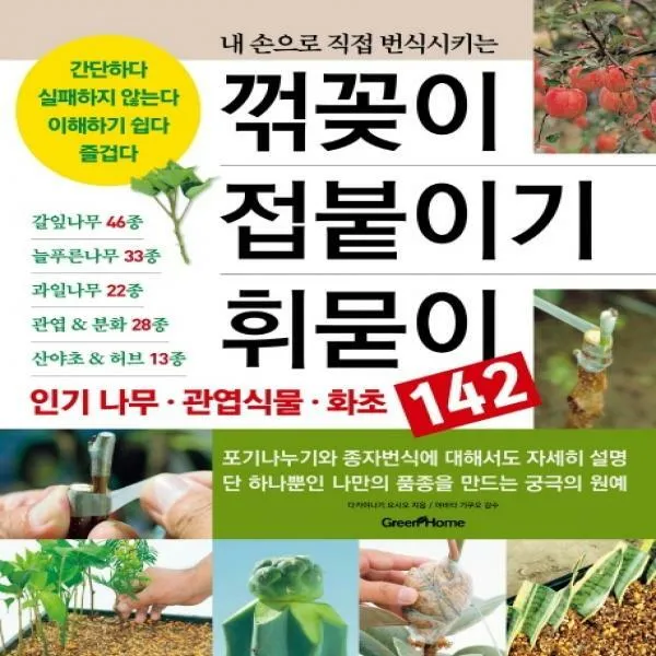 내 손으로 직접 번식시키는 꺾꽂이 접붙이기 휘묻이 인기 나무 관엽식물 화초 142