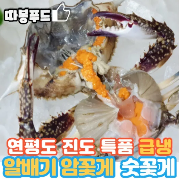 [당일발송] 따봉푸드 연평도 진도 알배기 프리미엄 선동 암꽃게 숫꽃게(급냉), 2kg