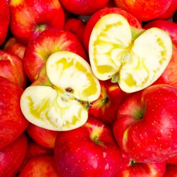 믿고 먹는 한나농산 껍질째먹는 햇사과 홍로 고당도 가정용 꿀맛 사과 5kg