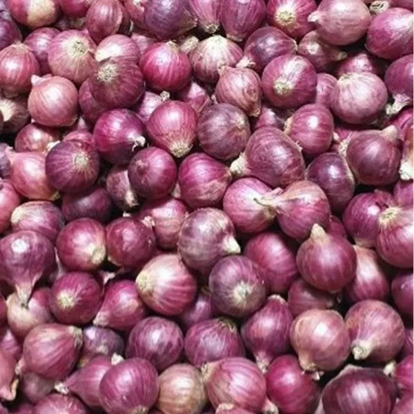  항공직수입 태국 샬롯 Shallot 1팩 2kg