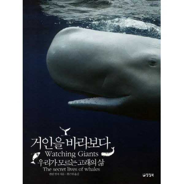 거인을 바라보다:우리가 모르는 고래의 삶, 양철북