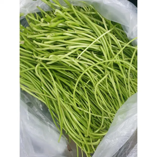 부드러운 고구마순 고구마 줄기 줄거리 생고구마순, 1kg