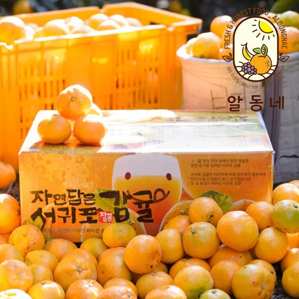 알동네 제주도 하우스 감귤 1kg 2kg 3kg 5kg 로얄과 소과 중과 타이벡귤 노지귤 1박스 감귤1kg프리미엄s과 ★2개구매시 2.5kg발송