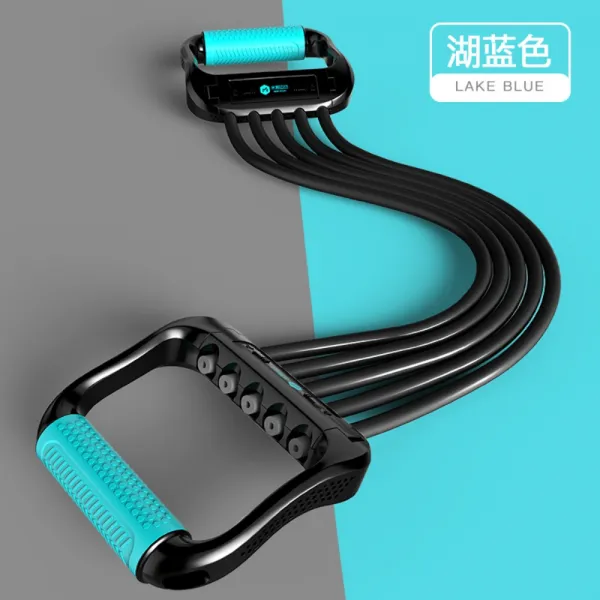 고급 전신 어깨 등 가슴 팔 근력 맨몸 운동기구 홈트레이닝 블루 오브 레이크