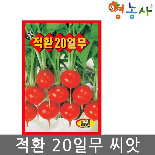 적환20일무 씨앗 600립 적환무씨앗 적환무씨 래디쉬