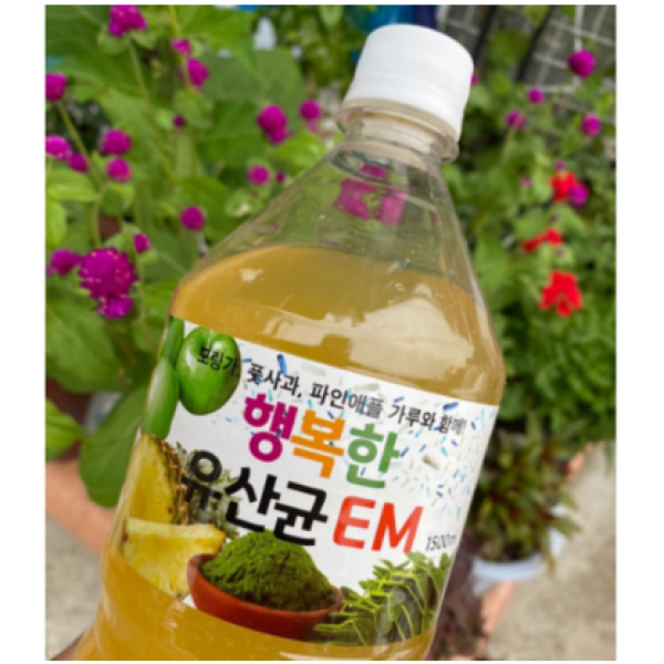 유정룡효소과학 행복한유산균em 6통