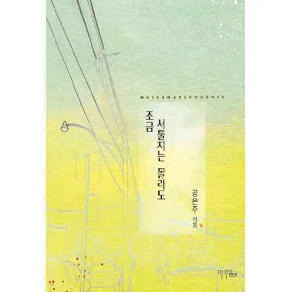 조금 서툴지는 몰라도, 마야마루출판사