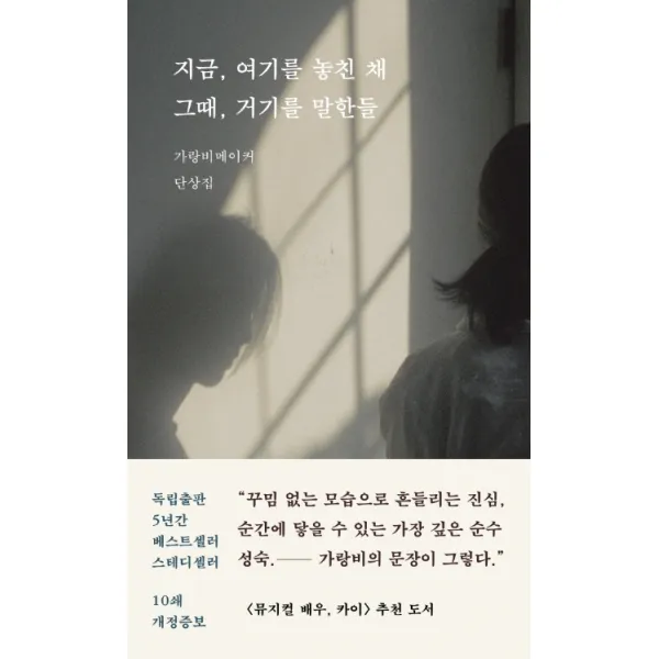 지금, 여기를 놓친 채 그때, 거기를 말한들:가랑비메이커 단상집, 문장과장면들
