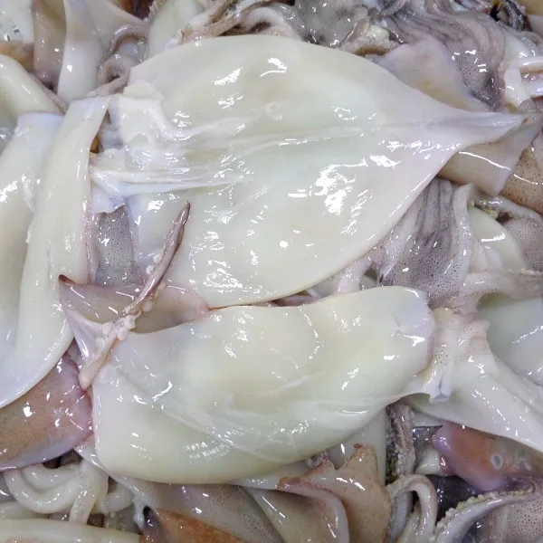 동바다수산 동해안 영덕 손질 오징어 1kg ~ 1.4kg 내외, 1팩, 손질 오징어 정품 (6~8미/1.4kg내외)