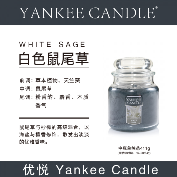 향초 양키 yankeecandle아로마캔들 화이트 white sage바다 star, T02-화이트 중병