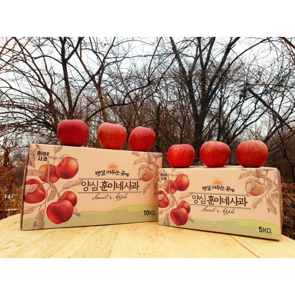 껍질째먹는 훈이네 경북 부사 청송 가정용 선물용 꿀사과 3kg 5kg 10kg, 소과(아침대용)5KG