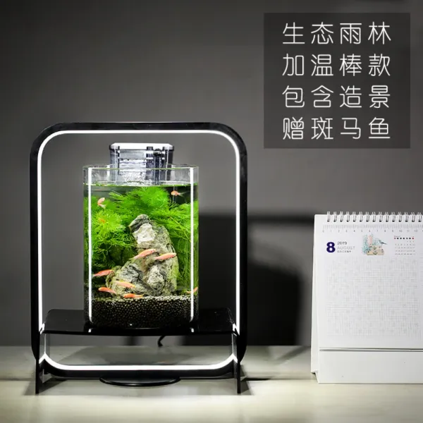 360도 LED 아크릴 받침 테라리움 식물성장등 사각형, 블랙 프레임 우림 (가온봉형)